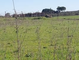 Terreno Urbanizable En venta en Puebla De Sancho Pérez, Puebla De Sancho Pérez photo 0