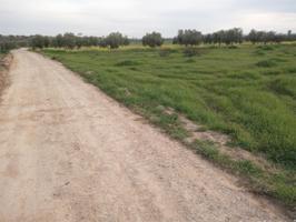 Terreno Urbanizable En venta en Zafra, Puebla De Sancho Pérez photo 0