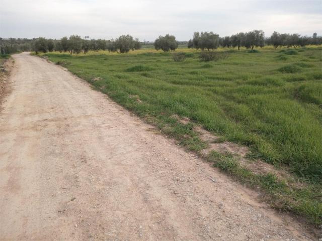 Terreno Urbanizable En venta en Zafra, Puebla De Sancho Pérez photo 0
