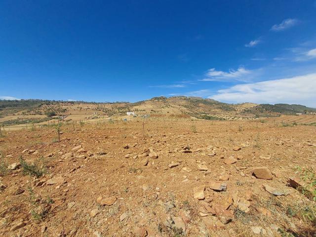 Terreno Urbanizable En venta en Zafra, Zafra photo 0