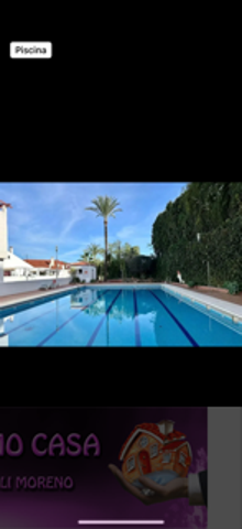 Piso En alquiler en Califa, Nueva Andalucía , Marbella photo 0