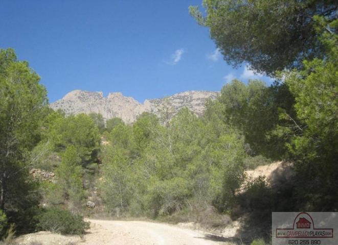 Terreno Urbanizable En venta en Finestrat, Finestrat photo 0