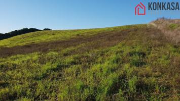 Terreno Urbanizable En venta en Carretera Arcos-Algar, Arcos De La Frontera photo 0