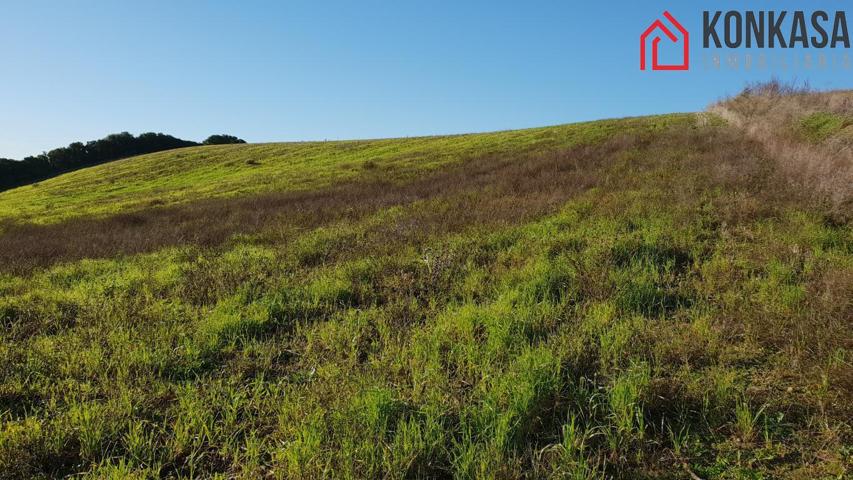 Terreno Urbanizable En venta en Carretera Arcos-Algar, Arcos De La Frontera photo 0