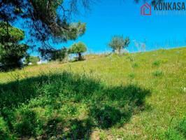 Terreno Urbanizable En venta en Cañada Del Duende, Arcos De La Frontera photo 0