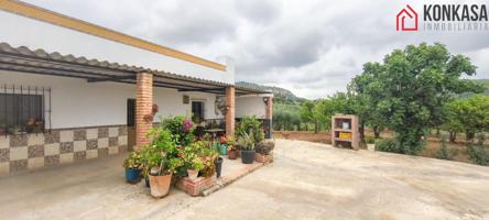 Terreno Urbanizable En venta en Vega De Los Molinos, Arcos De La Frontera photo 0