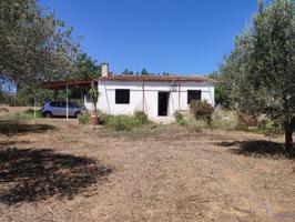 Terreno Urbanizable En venta en Carretera La Selva Del Camp, Reus photo 0