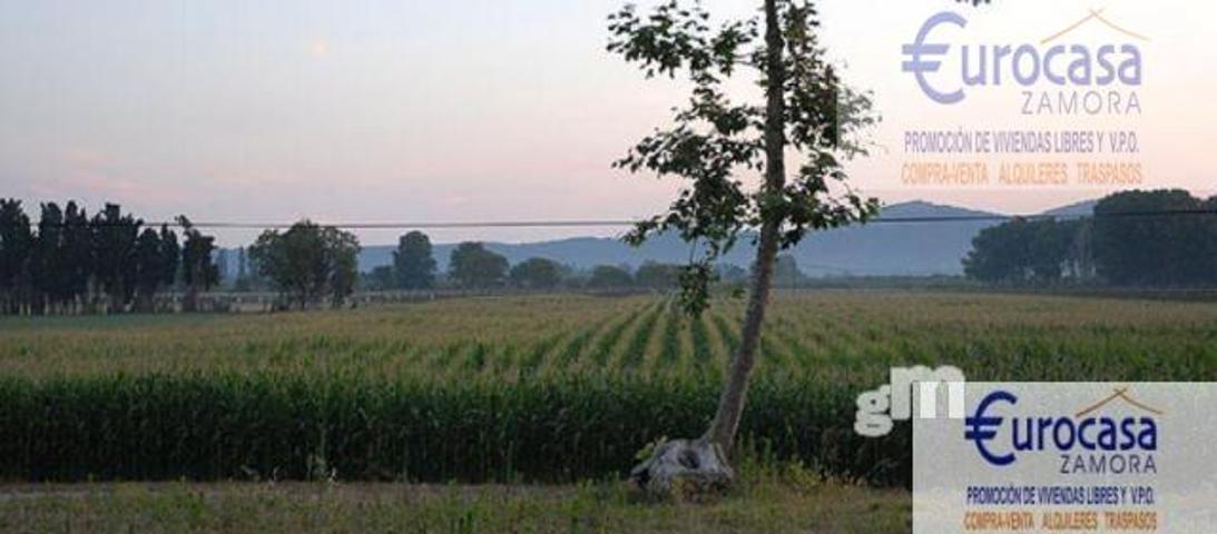 Terreno Urbanizable En venta en Cercanias Al Pueblo En La Carretera, Villalazán photo 0