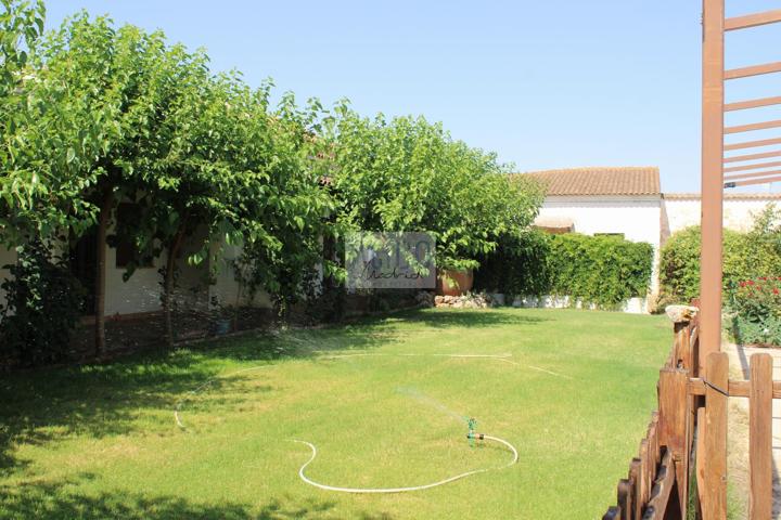 Local En venta en Soledad, 10, Campo De Montiel Cozar, Cózar photo 0