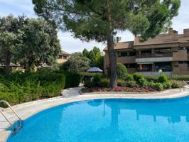 Piso En alquiler en Paseo De Los Parques, Encinar De Los Reyes, La Moraleja photo 0