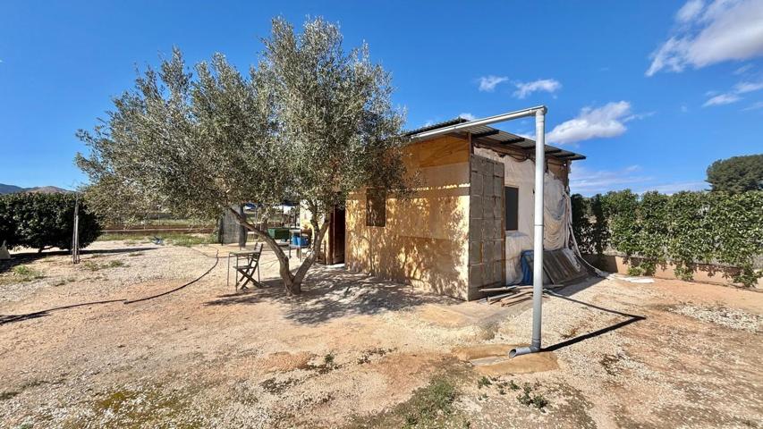 SE VENDE PARCELA EN ASPE photo 0