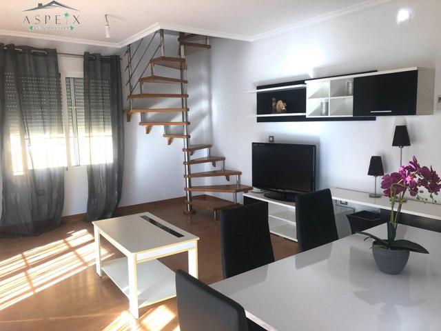 SE ALQUILA ÁTICO EN ASPE photo 0