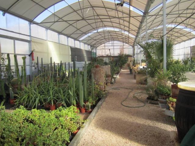 SE VENDE PARCELA CON VIVERO EN HONDON DE LOS FRAILES photo 0