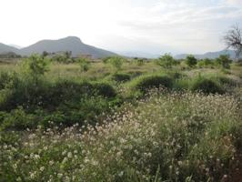 Terreno en Aspe photo 0