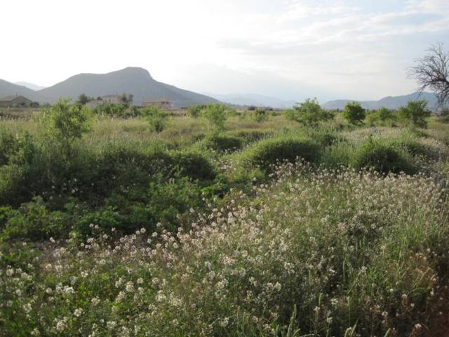 Terreno en Aspe photo 0