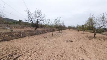 Parcela en Hondón de los Frailes photo 0