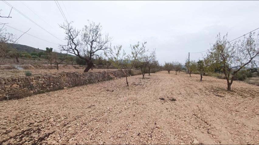 Parcela en Hondón de los Frailes photo 0