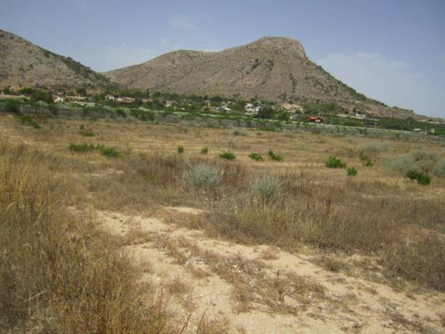 SE VENDE TERRENO EN ASPE photo 0