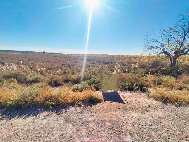 SE VENDE TERRENO EN ELCHE photo 0