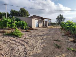 Terreno en Novelda con Casa de Aperos y Viñedo photo 0