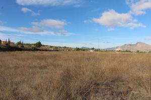 TERRENO RUSTICO EN HONDON DE LOS FRAILES photo 0