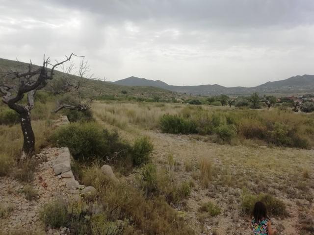 Terreno en Hondón de los Frailes photo 0