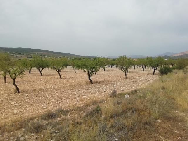 Terreno en Barbarroja photo 0