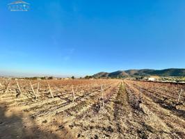 Agrícola En venta en Los Pomares, La Romana photo 0