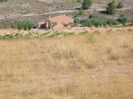 Terrenos Edificables En venta en Canalosa, Hondon De Las Nieves photo 0