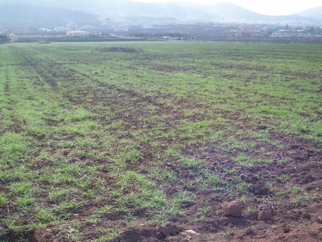 Terreno Urbanizable En venta en Los Pinos, Hondon De Los Frailes photo 0