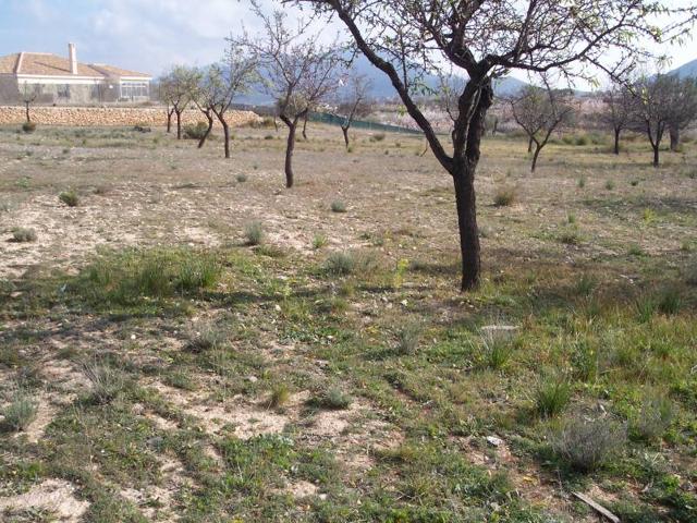 Terreno Urbanizable En venta en Algezare, Hondon De Los Frailes photo 0