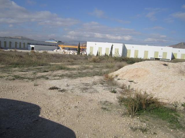 PARCELA photo 0