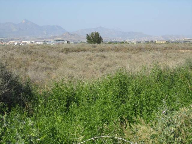PARCELA photo 0