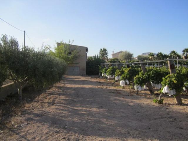 SE VENDE TERRENO EN NOVELDA photo 0