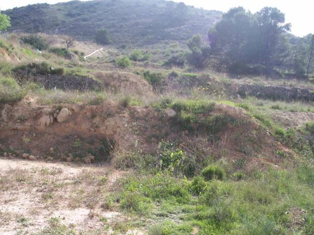 Terreno Urbanizable En venta en Borisa, Aspe Pedanias photo 0