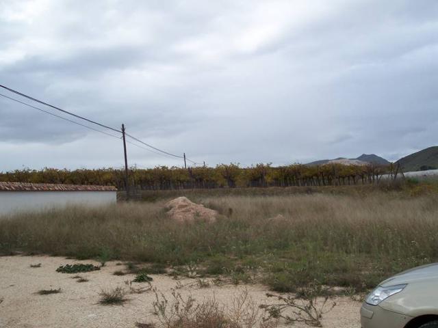 Terreno Urbanizable En venta en Rebalso, Hondon De Los Frailes photo 0