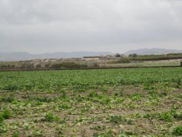 Agrícola En venta en Horna, Novelda photo 0