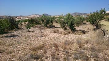 Terreno de 10.000 m² en Plena Naturaleza photo 0