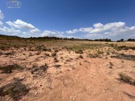 Terreno Jumilla zona Paraje Chamaleta photo 0