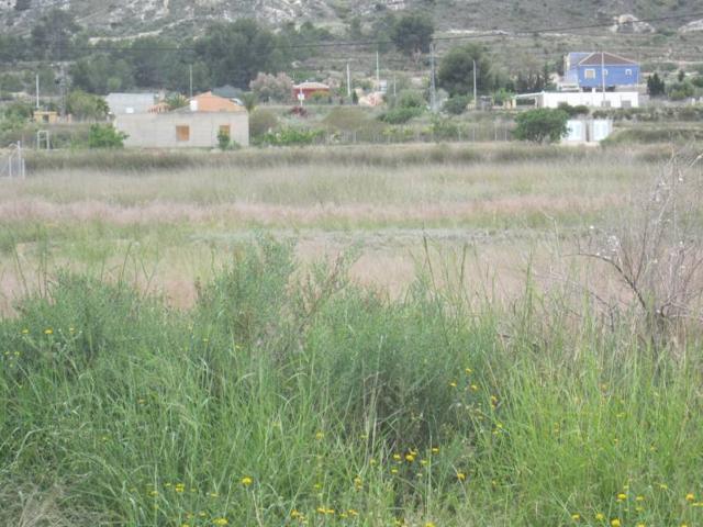 PARCELA EN ASPE photo 0