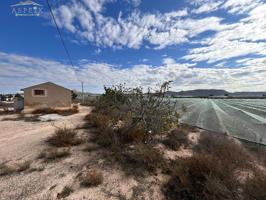 Terreno con albergue en Monforte del Cid photo 0
