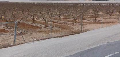 Finca con Nave en Aspe photo 0