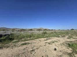Terreno en Aspe photo 0