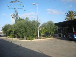 CHALET EN CONSTRUCCIÓN CON NAVE INDUSTRIAL EN ELCHE photo 0