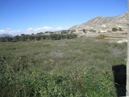 SE VENDE TERRENO EN ASPE photo 0