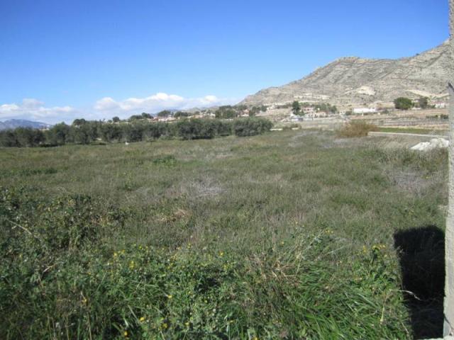 SE VENDE TERRENO EN ASPE photo 0