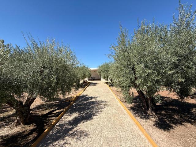 Si quieres CAMPO Y TODOS LOS SERVICIOS CERCA.............. ESTE ES VUESTRO HOGAR. photo 0