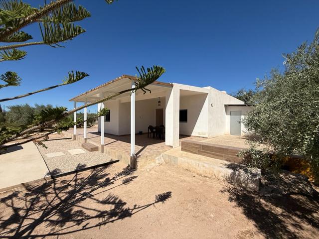 Si quieres CAMPO Y TODOS LOS SERVICIOS CERCA.............. ESTE ES VUESTRO HOGAR. photo 0