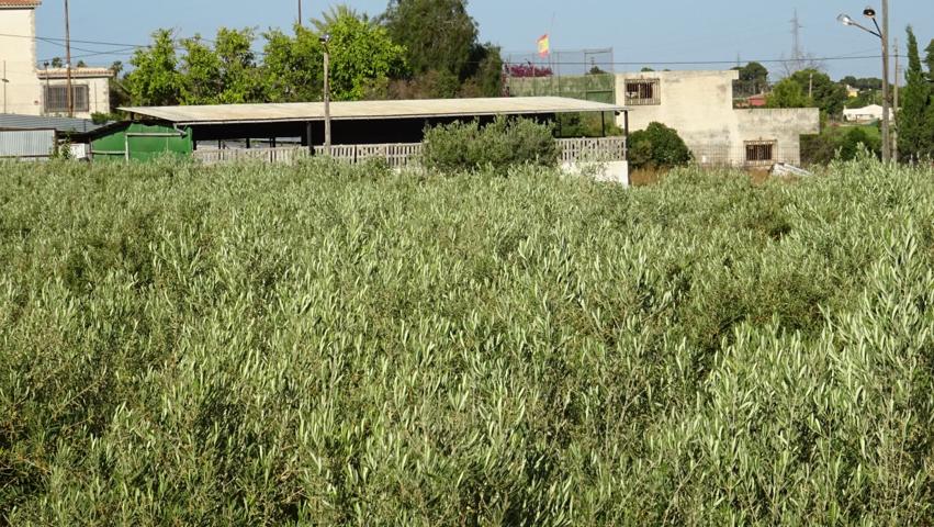 Parcela de 12.000 M2 en Peña Las Águilas, con nave de 260 M2 construidos photo 0