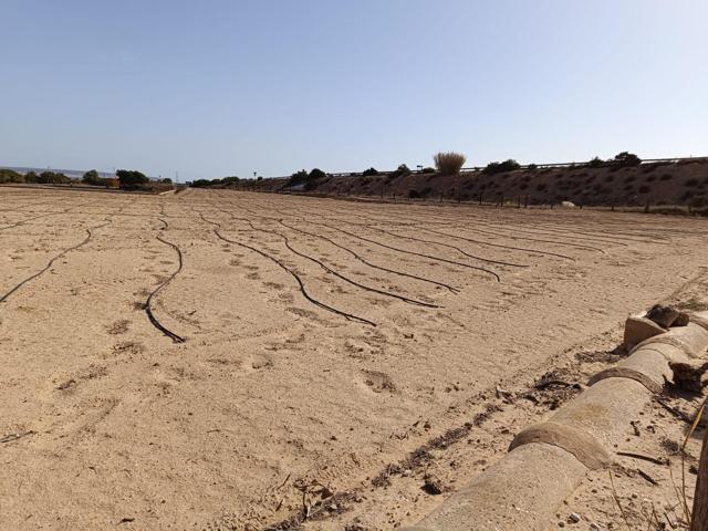 ¡¡¡¡TERRENO EDIFICABLE!!!! photo 0